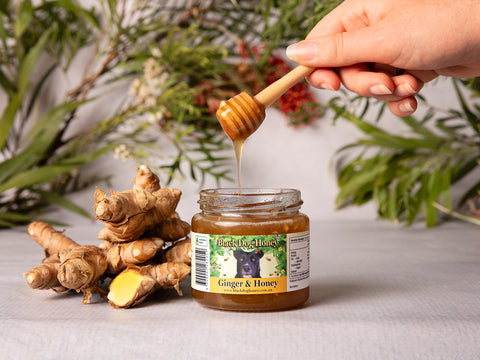 Ginger infused Honey