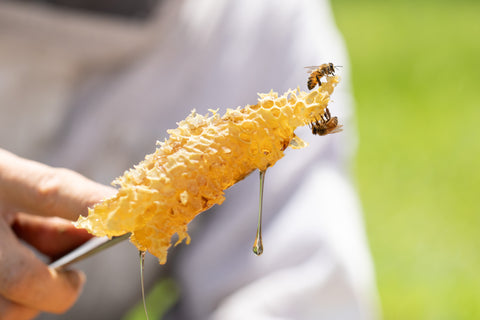 Vanilla infused honey